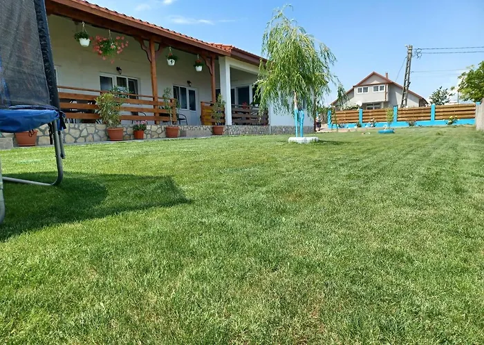 Gasthuis Pensiunea La Codru 3*