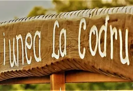 Pensiunea La Codru * Jurilovca
